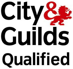 City-and-Guilds-qualified-logo