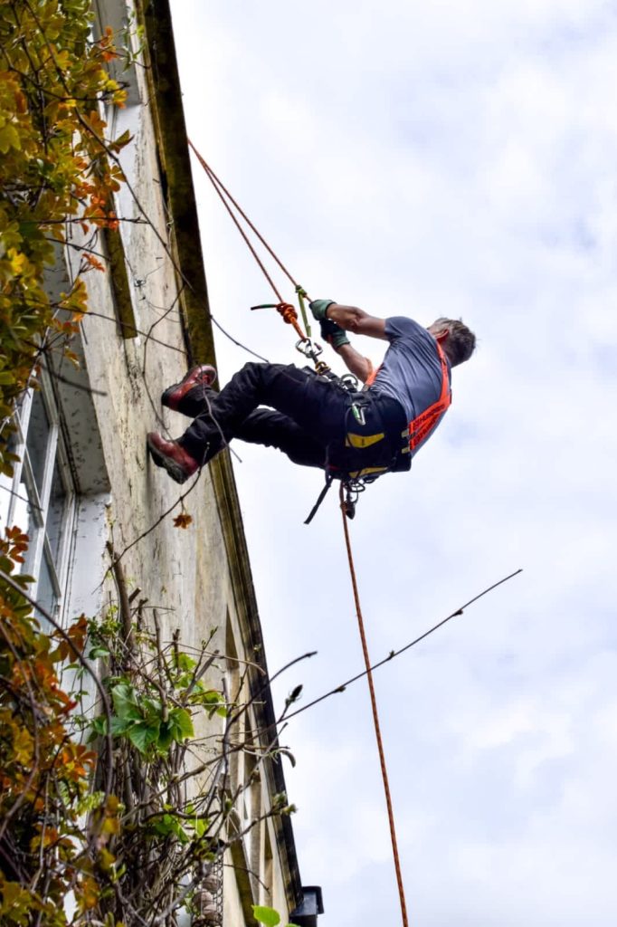 Tree surgeon Bristol (4)