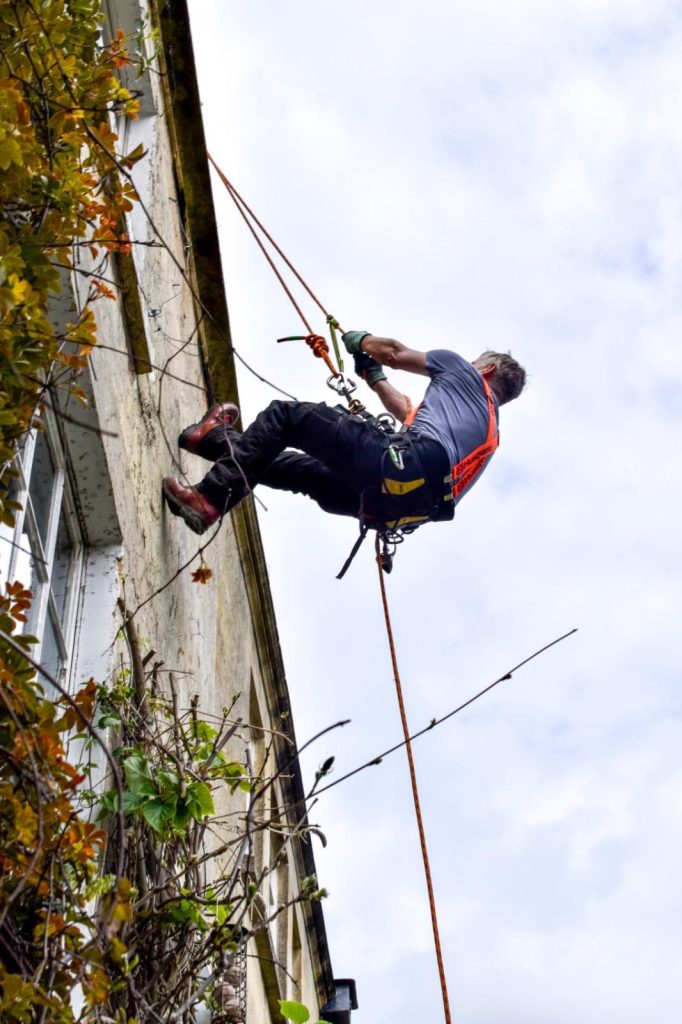 tree surgery Bath